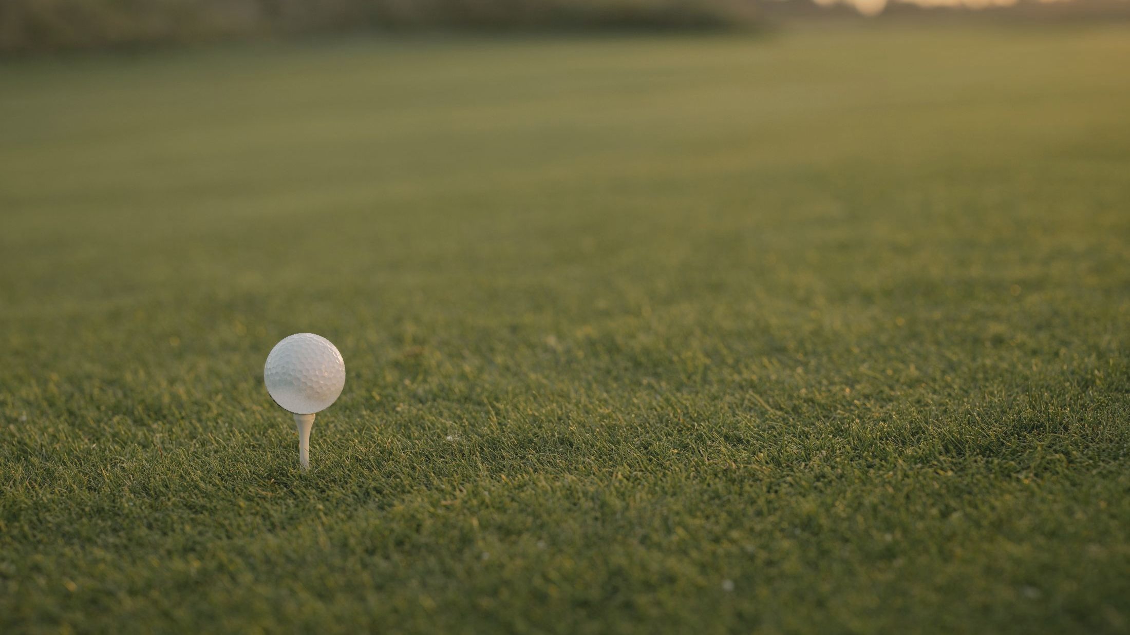 A white golf ball on a tee in low evening light